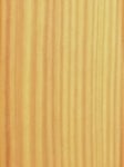 Natural interior finish: Larch transparent